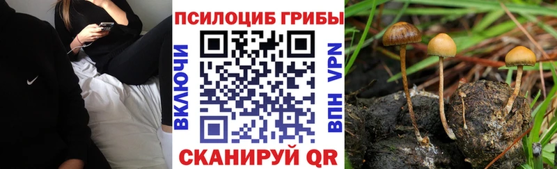 Галлюциногенные грибы прущие грибы  Черепаново 